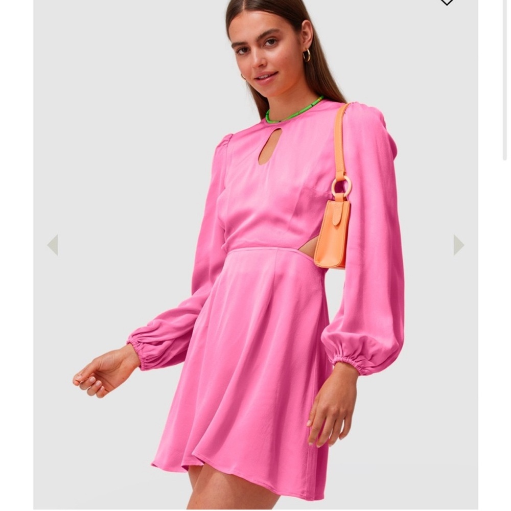 The Wolf Gang mini dress